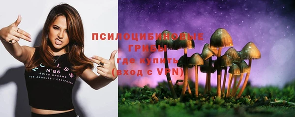 ГАЛЛЮЦИНОГЕННЫЕ ГРИБЫ Алексеевка