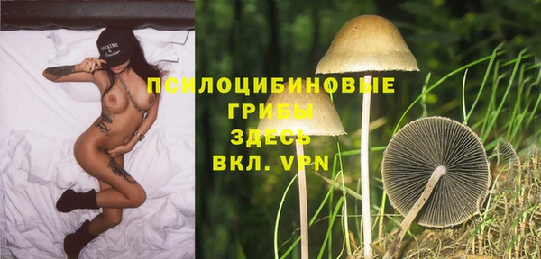 ГАЛЛЮЦИНОГЕННЫЕ ГРИБЫ Алексеевка
